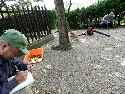 Tuskayama Park volunteers at work on the site.