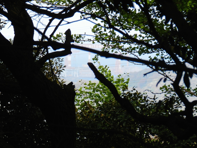 The view south toward Yokosuka.