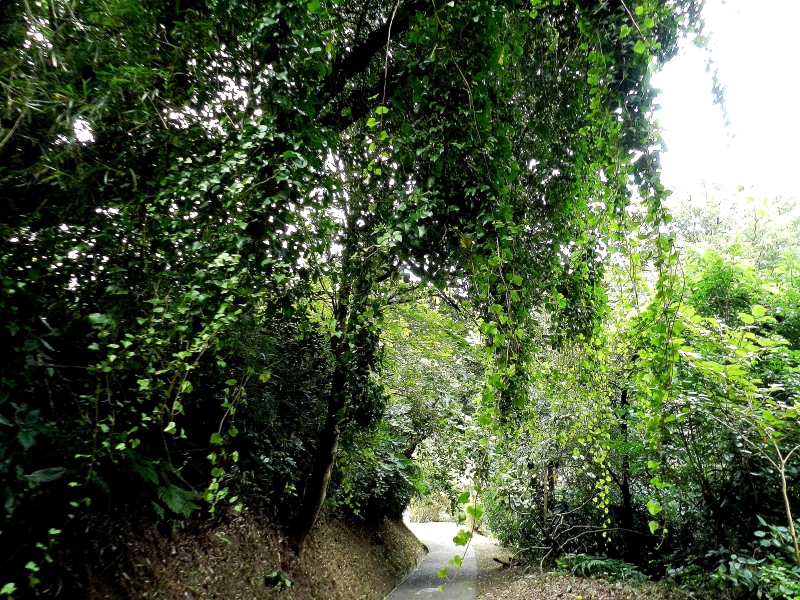 Tsukayama Park walking trail toward Anjinzuka.